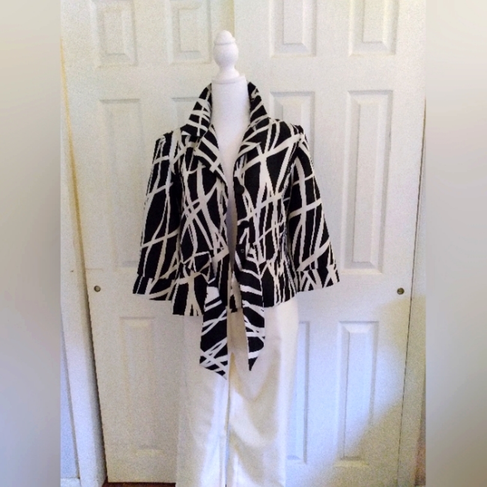 Petite Blouse and Pant Set
